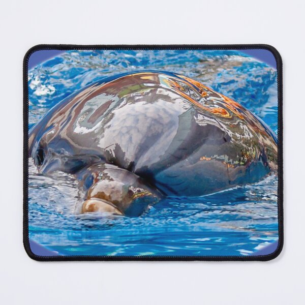 Item preview, Dolphin coming at you designed and sold by Dalyndigital Photography.