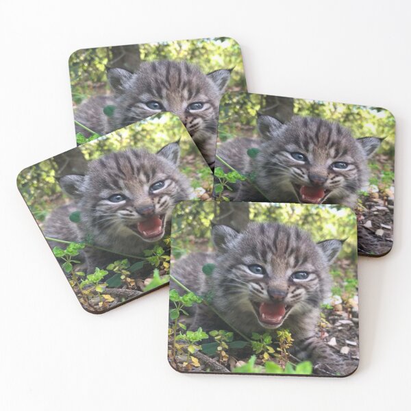 Item preview, feline animals,animal collection#luk&arts the most beautiful animals on the planet designed and sold by LUK0arts.