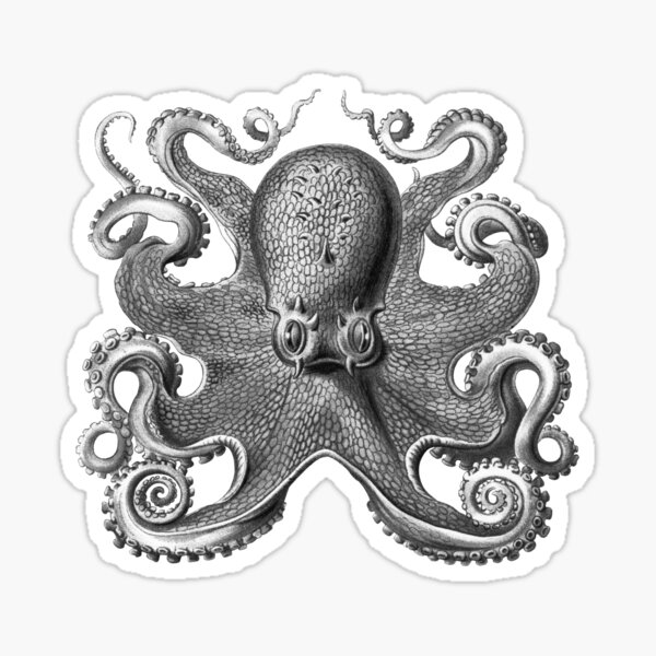 Octopus Squid Kraken Art Tentacles Seashell Deep Sea Ocean Creatures Lover (Black & White) - Octopus Sticker