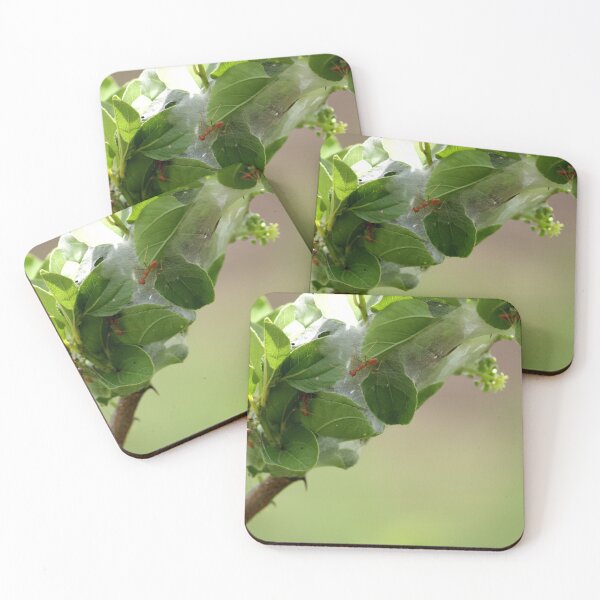 Item preview, Red ants nest in the leaves. designed and sold by VgBingi.