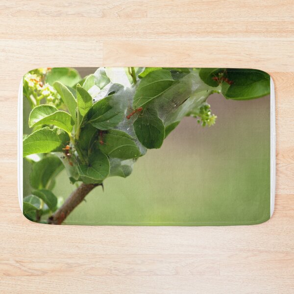 Item preview, Red ants nest in the leaves. designed and sold by VgBingi.