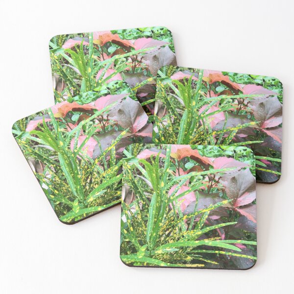 Item preview, Croton Plant Garden designed and sold by marvacousins246.