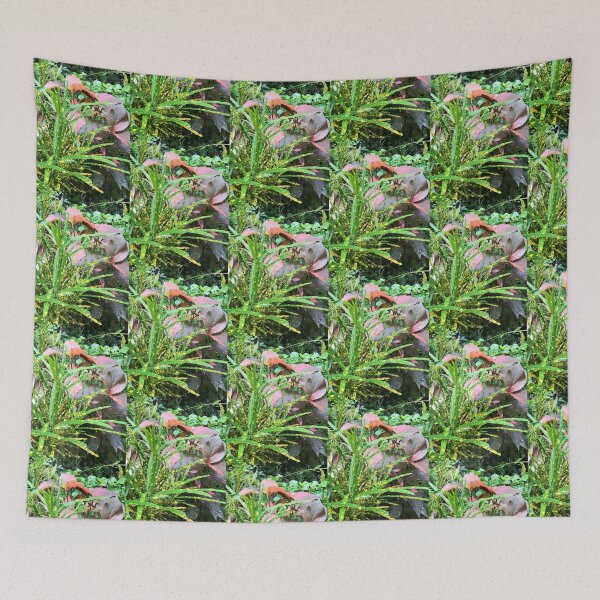 Item preview, Croton Plant Garden designed and sold by marvacousins246.