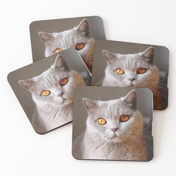 Item preview, feline animals,animal collection#luk&arts the most beautiful animals on the planet designed and sold by LUK0arts.