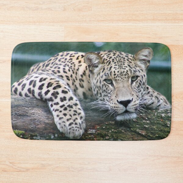 Item preview, felines ,animals#luk&arts animal collection,Dea gift for those you like designed and sold by LUK0arts.