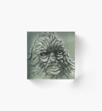 Existence Acrylic Block