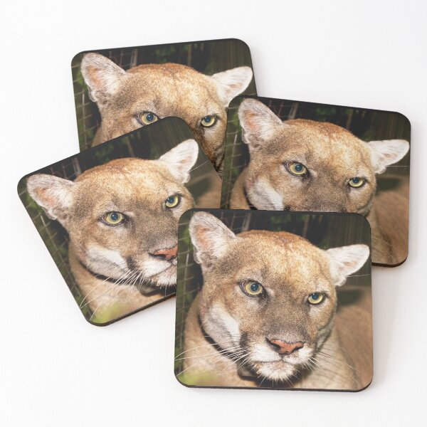Item preview, Felines, animal collection #luk&arts make a tribute to those you like. designed and sold by LUK0arts.