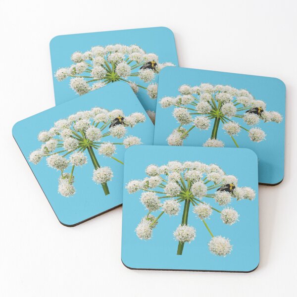 Item preview, Bee on angelica flower designed and sold by kapowy27.