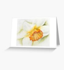 Narcissus Greeting Card