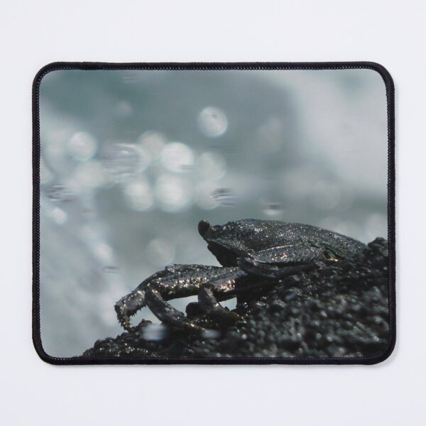 Item preview, Crab on a rock designed and sold by Matt Niichel.