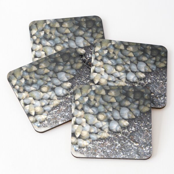 Item preview, Ocean Shells designed and sold by Matt Niichel.