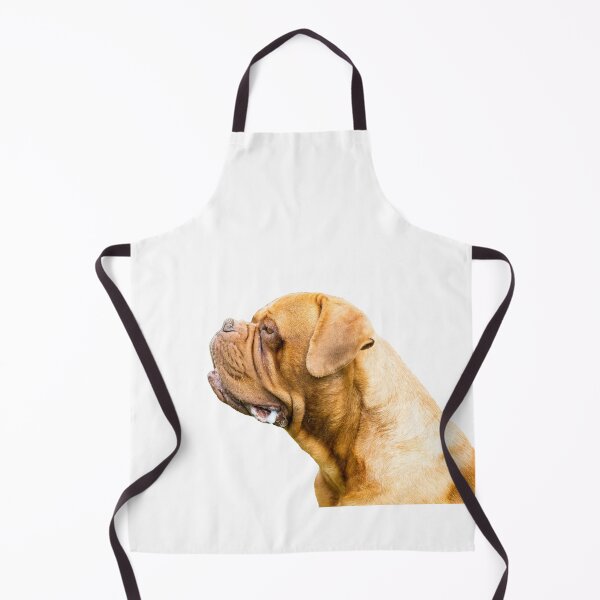 Item preview, The Dogue de Bordeaux Or Bordeaux mastiff designed and sold by Paul Thompson Photography.