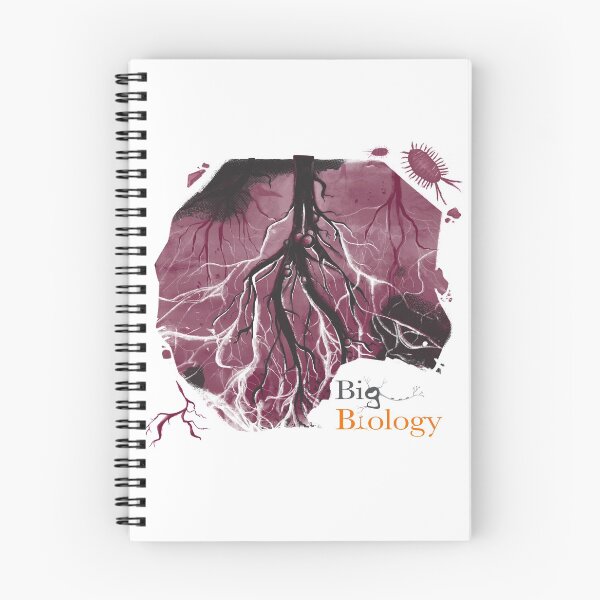 Item preview, Hidden network designed and sold by BigBiology.