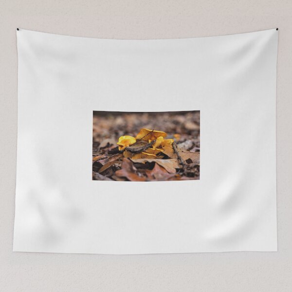 Item preview, Emergence designed and sold by Rodney Williams.