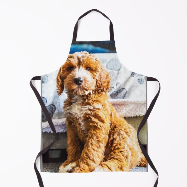 Item preview, Dexter The Cockapoo Puppy designed and sold by Paul Thompson Photography.