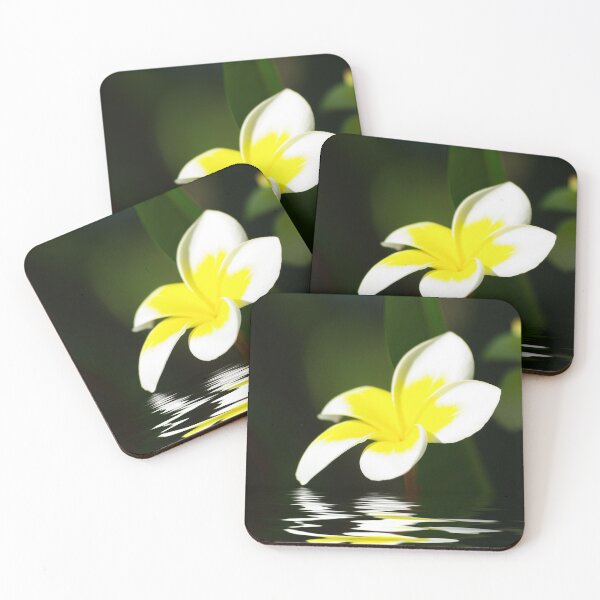 Artikelvorschau, Frangipani im Wasser entworfen und verkauft von Rainy.