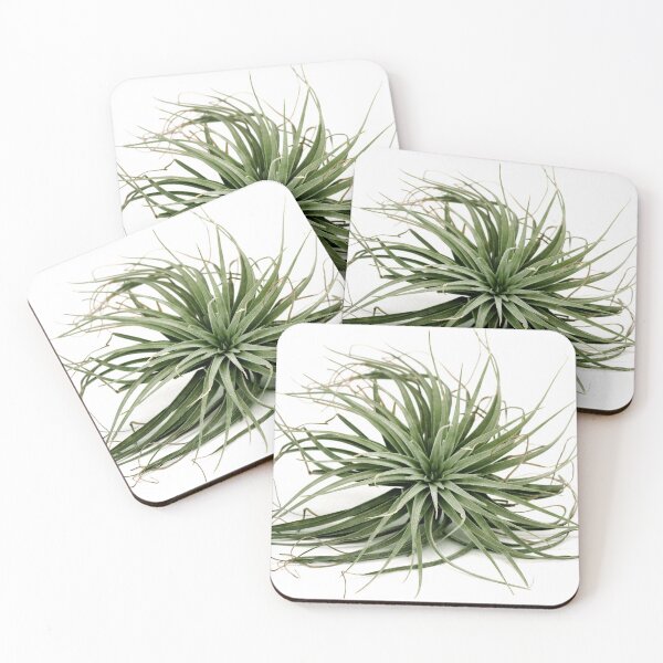 Item preview, Tillandsia air plant designed and sold by Puffy-Puffin.