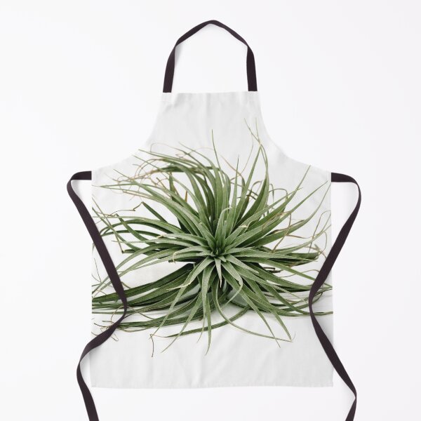 Item preview, Tillandsia air plant designed and sold by Puffy-Puffin.