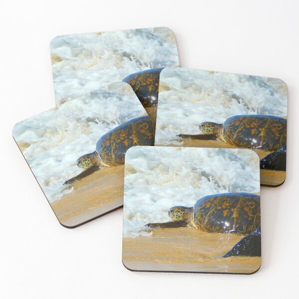 Item preview, Turtle Beach designed and sold by Matt Niichel.