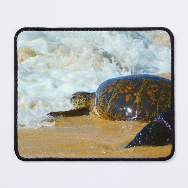 Item preview, Turtle Beach designed and sold by Matt Niichel.