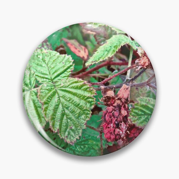 Item preview, Raspberries designed and sold by Shulie1.