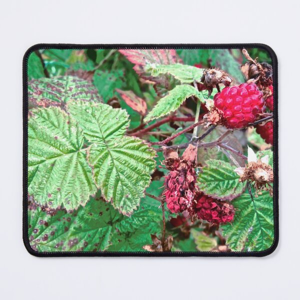Item preview, Raspberries designed and sold by Shulie1.