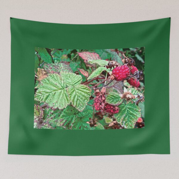 Item preview, Raspberries designed and sold by Shulie1.