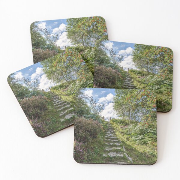 Item preview, Rocky path Elan Valley Wales designed and sold by VnGphoto.