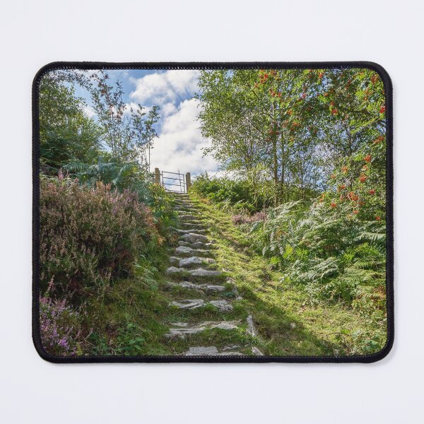 Item preview, Rocky path Elan Valley Wales designed and sold by VnGphoto.