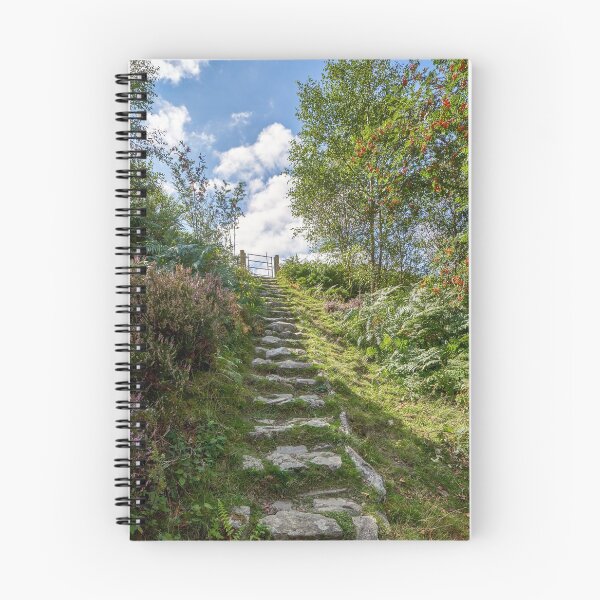 Item preview, Rocky path Elan Valley Wales designed and sold by VnGphoto.