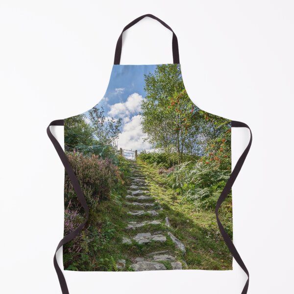 Item preview, Rocky path Elan Valley Wales designed and sold by VnGphoto.