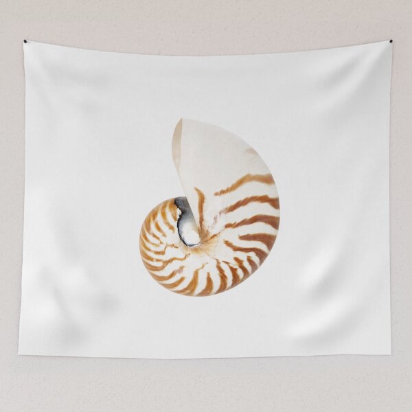 Item preview, Chambered Nautilus shell on white designed and sold by Puffy-Puffin.