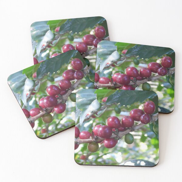 Item preview, Granos de café designed and sold by Matt Niichel.