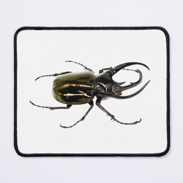 Item preview, Chalcosoma chiron beetle on white designed and sold by Puffy-Puffin.