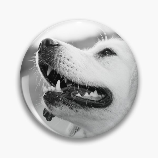 Artikelvorschau, Weißer Labrador entworfen und verkauft von RTrivella.
