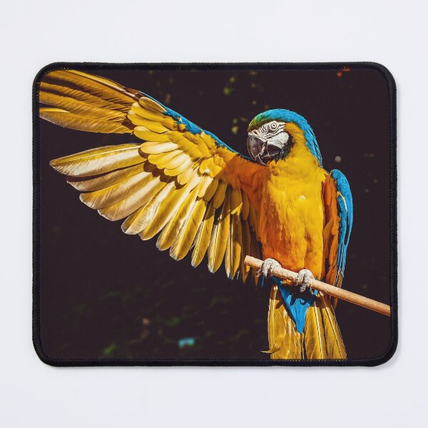 Item preview, Chromatic parrot  designed and sold by AdegbesanDesign.