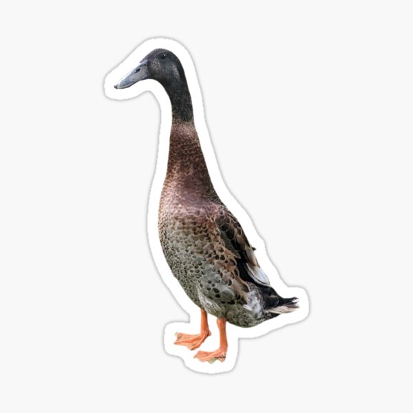 Majestic Long Boi Sticker Sticker