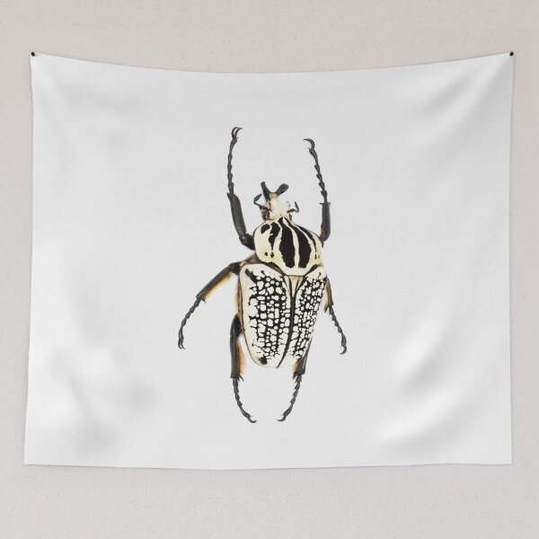 Item preview, Goliath beetle sticker white and black Goliathus orientalis designed and sold by Puffy-Puffin.