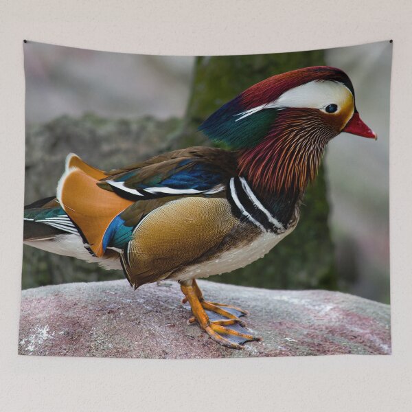 Item preview, Adult Male Mandarin Duck Bird designed and sold by DoveyCreates.