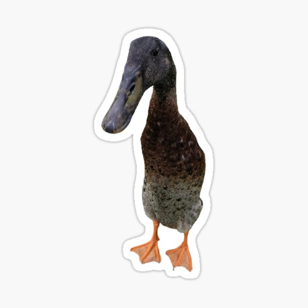 Item preview, Cool Long Boi Sticker designed and sold by longboiyork.