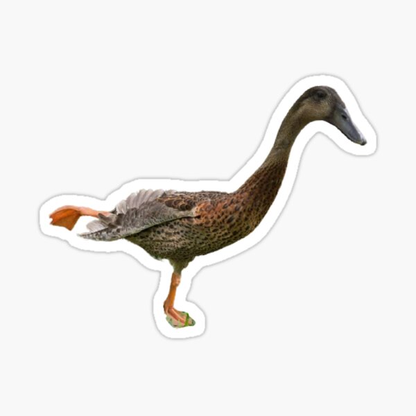 Item preview, Yoga Long Boi Sticker designed and sold by longboiyork.