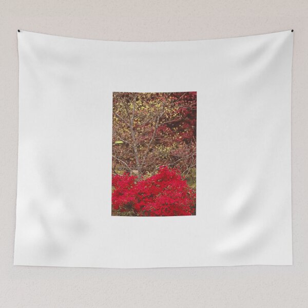 Item preview, Transition designed and sold by Rodney Williams.