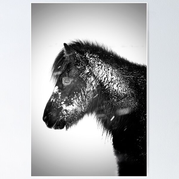 Item preview, Black and white horse in the snow designed and sold by elisainiceland.