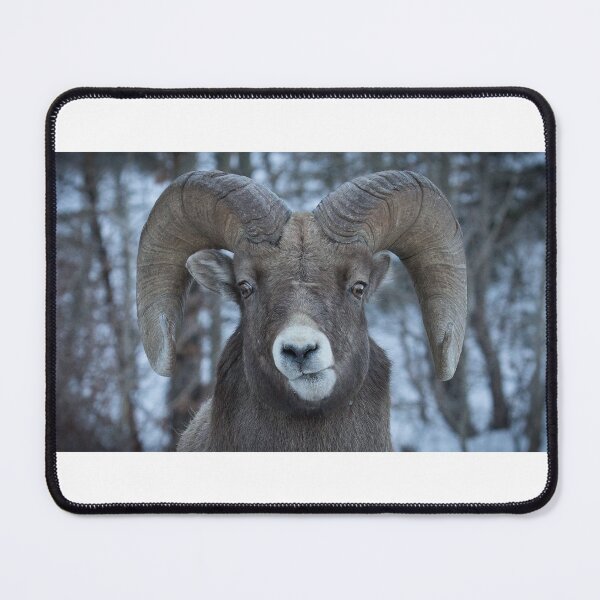 Item preview, Sheep Encounters designed and sold by CozyCabinStuff.