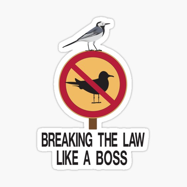Breaking The Law Stickers | Redbubble