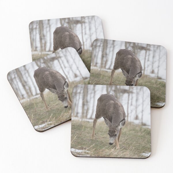 Item preview, Winter, Spring, or Fall designed and sold by CozyCabinStuff.