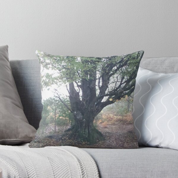 Item preview, Beech tree designed and sold by brucemlong.