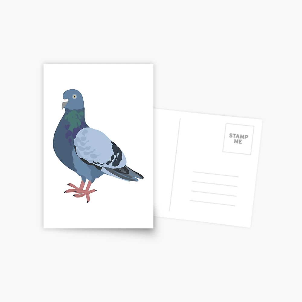 The Pigeon - Vintage French Postcard - Vintage Postcards - Sticker
