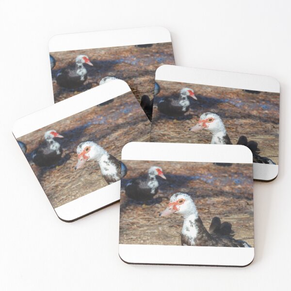 Item preview, The Friendly Muscovy designed and sold by Tiffany-Leigh.
