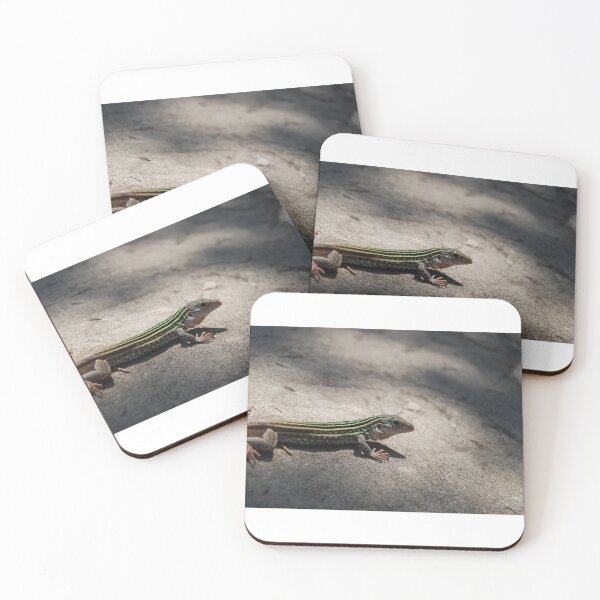 Item preview, Spotted Whiptail designed and sold by Tiffany-Leigh.